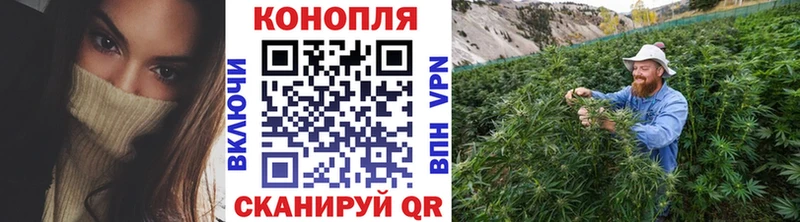 Бошки Шишки планчик  ссылка на мегу вход  Карачев 